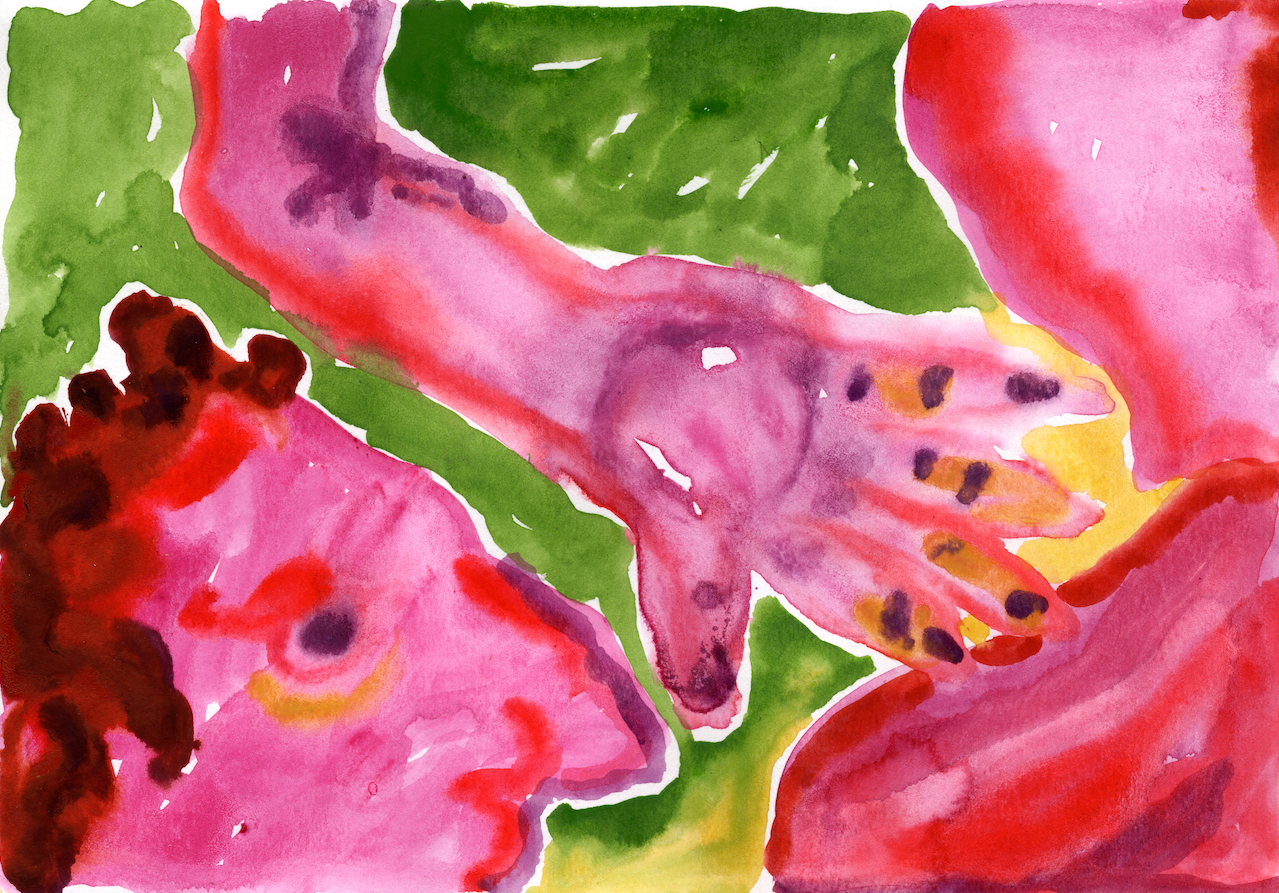 Aquarelle - Peau